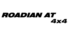 Roadian AT 4x4