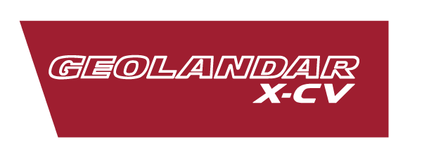 geolandar-x-cv
